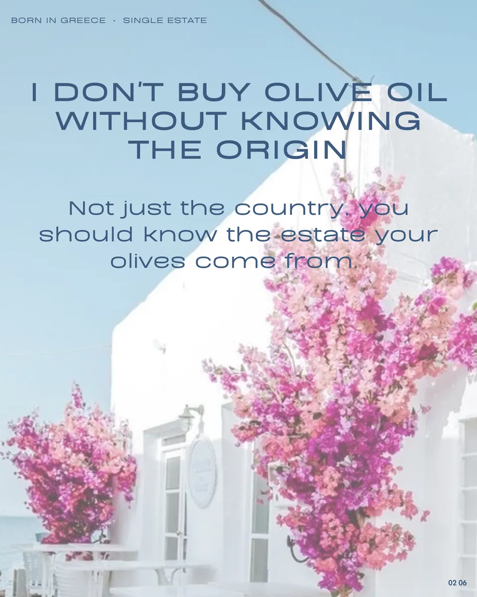 Instagram carousel slide designed by Orange Grove Social for Fancy Peasant Greek olive oil — image 36