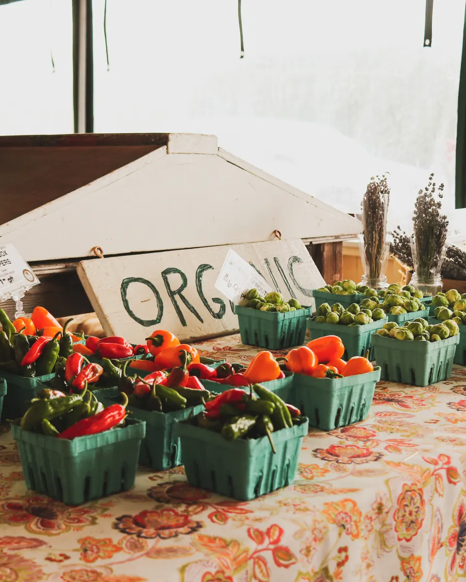 Instagram carousel slide designed by Orange Grove Social for Fancy Peasant Greek olive oil — image 42