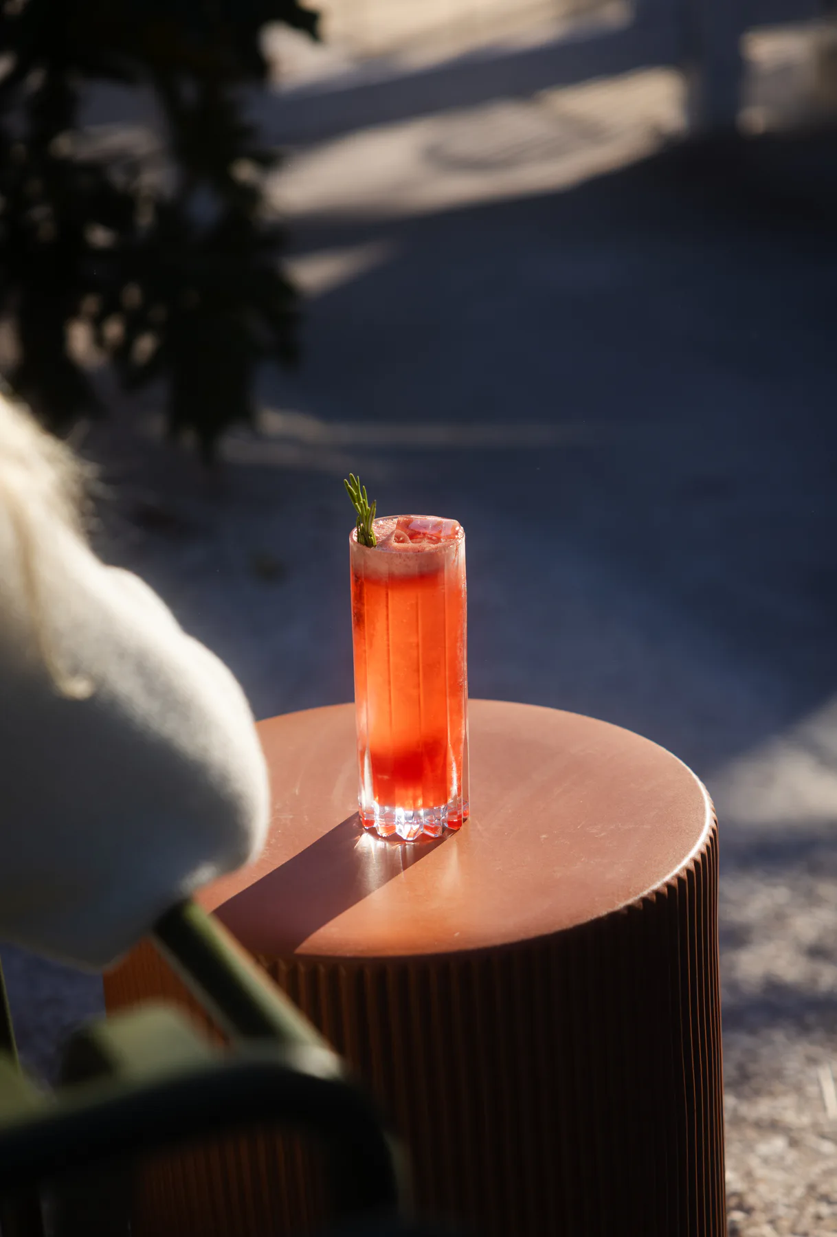 Cafe and coffee shop photography for Intermezzo in St. Petersburg, Florida — image 37