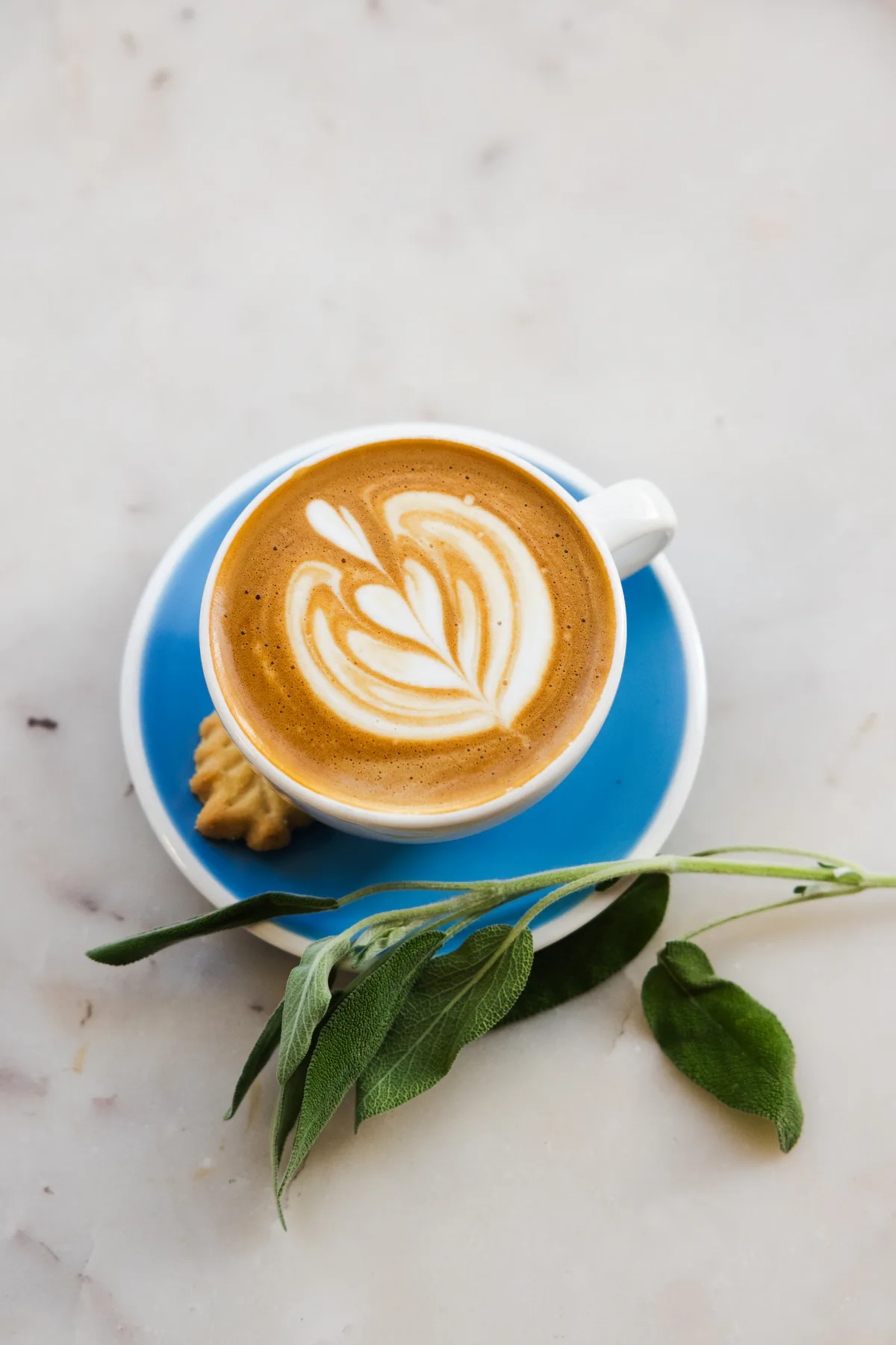 Cafe and coffee shop photography for Intermezzo in St. Petersburg, Florida — image 65