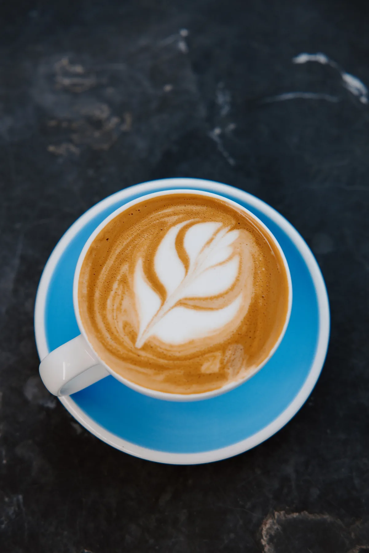 Cafe and coffee shop photography for Intermezzo in St. Petersburg, Florida — image 75