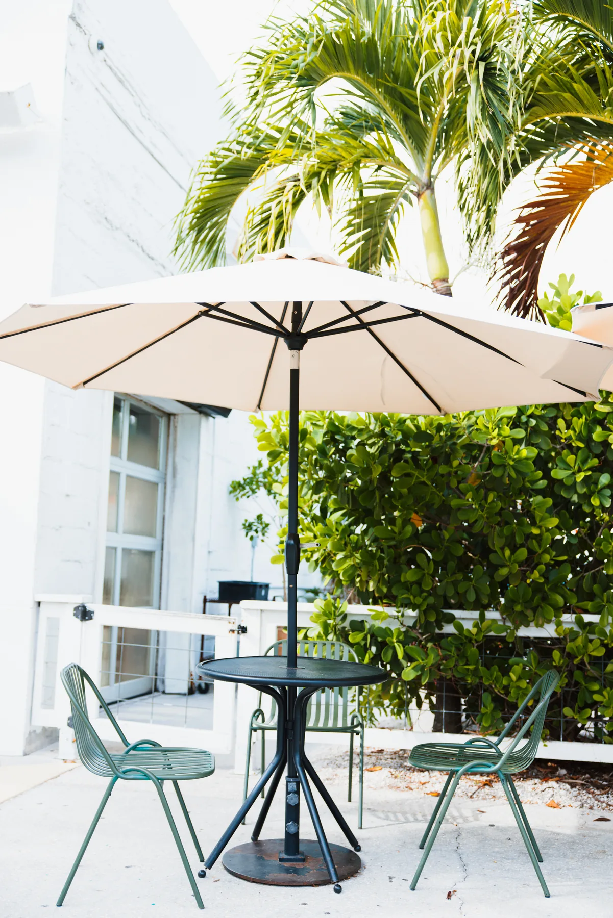 Cafe and coffee shop photography for Intermezzo in St. Petersburg, Florida — image 100