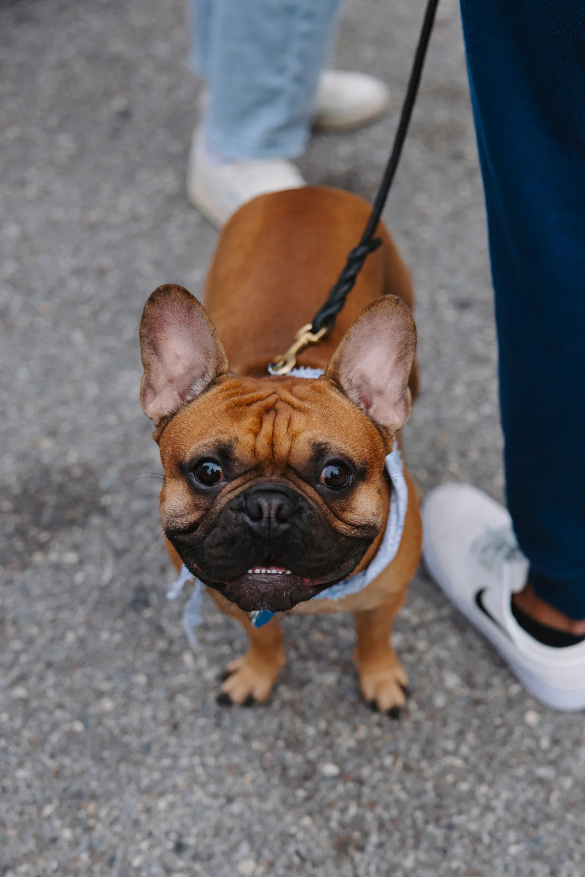 Community market and event photography for Mezzo Market in St. Petersburg, Florida — image 3