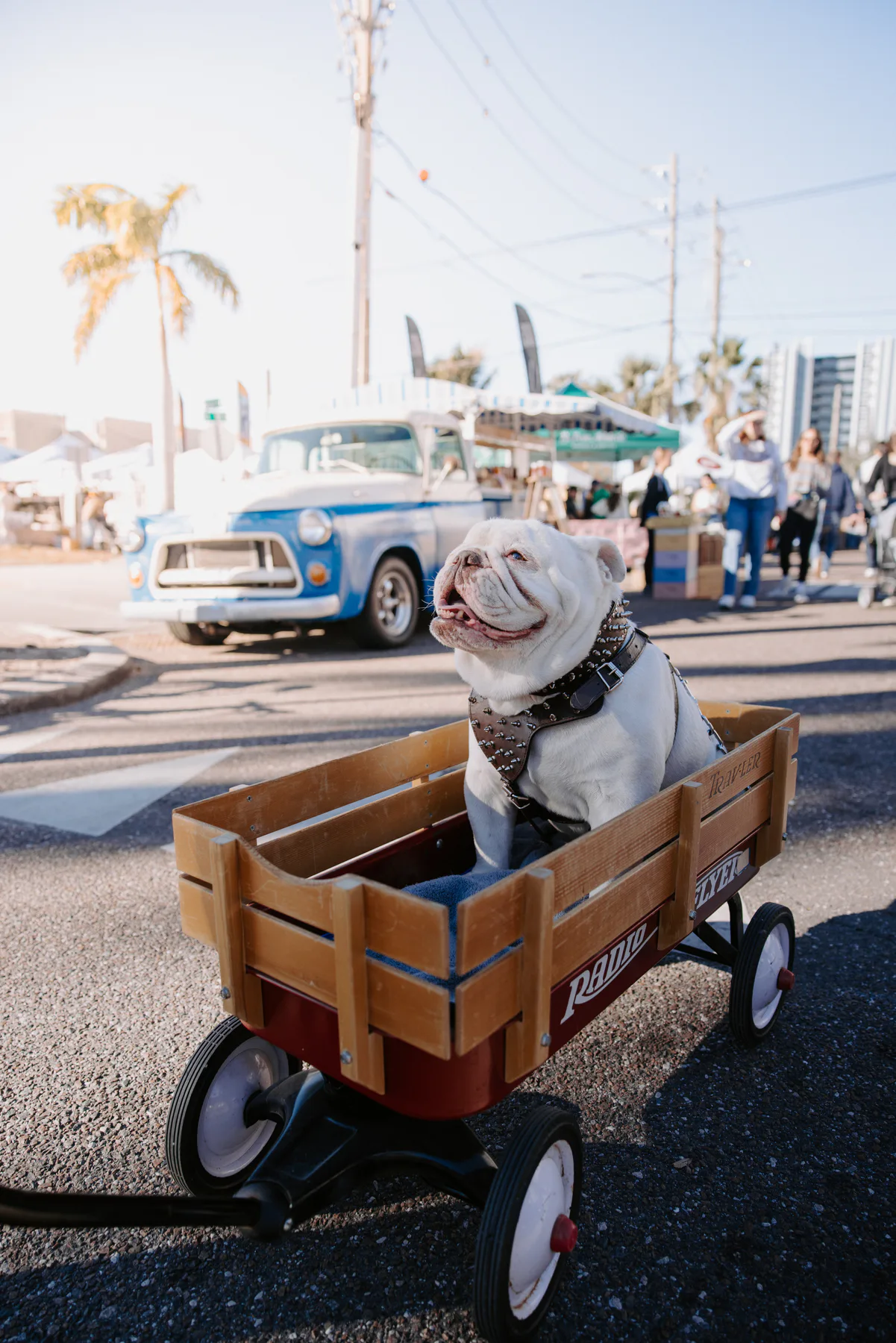Community market and event photography for Mezzo Market in St. Petersburg, Florida — image 29