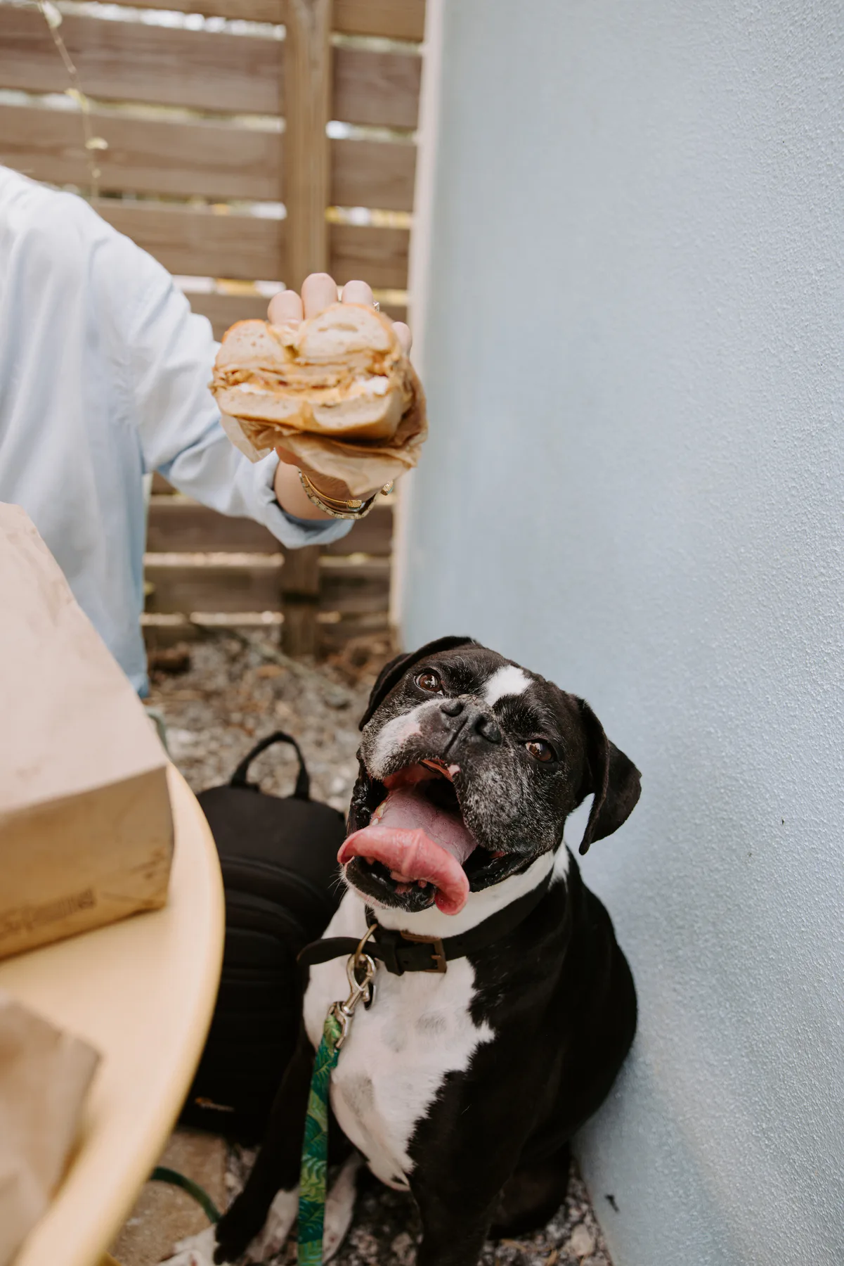 Restaurant and food photography for Pete's Bagels in St. Petersburg, Florida — image 15